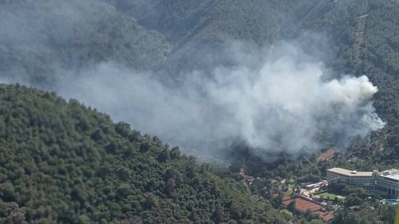 İzmir Aliağa’da Orman Yangınına 7 Uçakla Müdahale Ediliyor